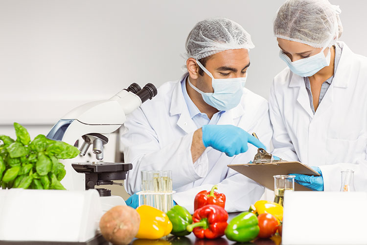 Quality & Food Safety